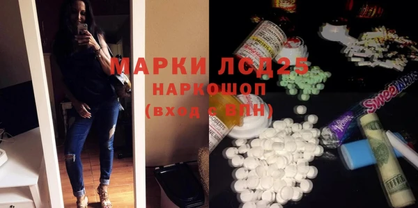 прущие грибы Михайловск