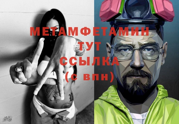 прущие грибы Михайловск