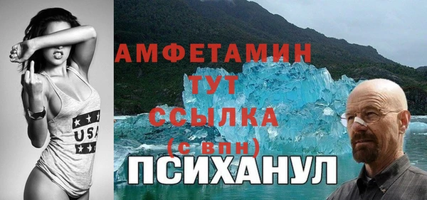 прущие грибы Михайловск