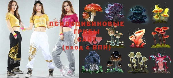 мяу мяу мука Михайловка