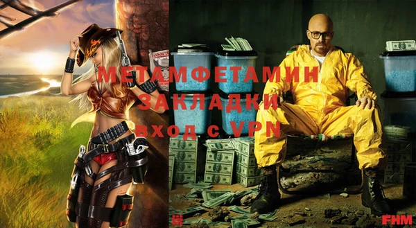 прущие грибы Михайловск