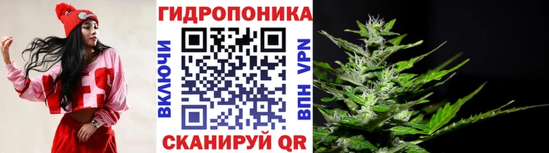 Канабис ГИДРОПОН Емва